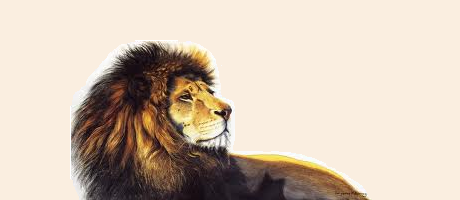 Книги о животных