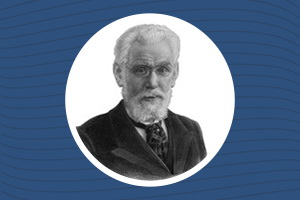 Кайгородов Д.Н. Беседы о русском лесе