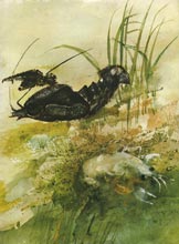 Ил. В.Курдова к рассказу В.Бианки «Где раки зимуют»