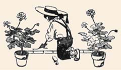 Ил. из сборника «Детский сад стихов»